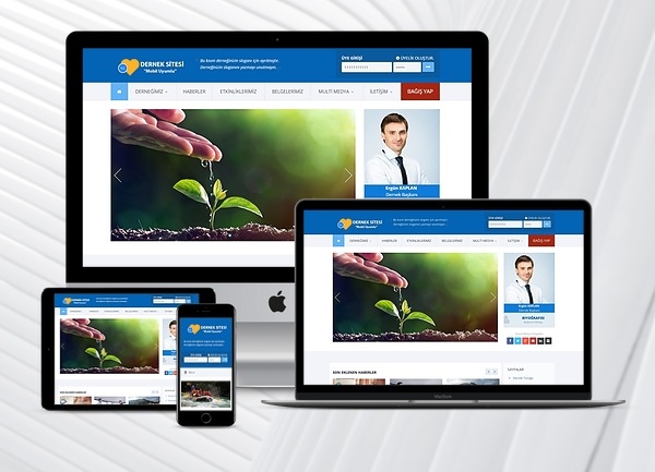 Test A Rent A Car Script